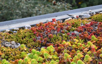 the cost of Kirkmichael green roof installation